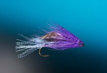Top Flies for Fall Steelhead