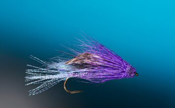 Top Flies for Fall Steelhead