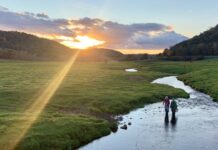 Meet some of Madison’s veteran-owned businesses