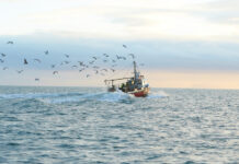 Investing in Vintage Fishing and Boating Gear