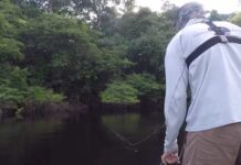 Video Pro Tips: How to Make a Proper Strip-Strike