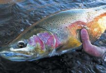 Fishing report, Nov. 25 – Medford News, Weather, Sports, Breaking News