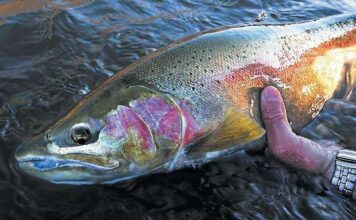 Fishing report, Nov. 25 – Medford News, Weather, Sports, Breaking News