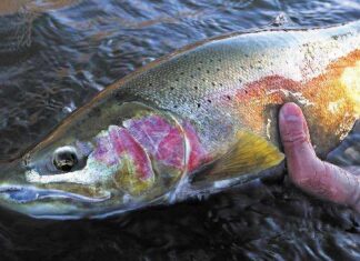 Fishing report, Nov. 18 – Medford News, Weather, Sports, Breaking News