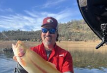 Denis Peirce: Lightning trout | TheUnion.com