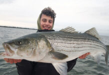 Late Fall On the Western Sound
