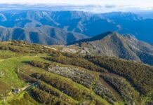 Six of the best things to do