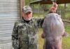 Officials determine ages of giant catfish weighing over 100 pounds