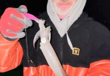 Dave Monti: Public hearings on striped bass ahead | Local Sports