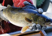 Michigan, native tribes reach new Great Lakes fishing deal
