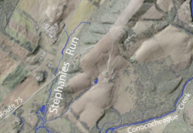 STREAM OF CONSCIOUSNESS: Stephanies Run | Stream of Consciousness