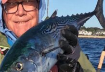 Dave Monti: Port infrastructure funding and the Clean Energy Report | Local Sports