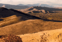 The Best of the Mountain West 2022