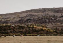 How an Overnight Stay on a Working Ranch Can Offer a New Connection to the Land