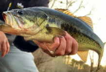 7 Essential Lures for Winter Bass Fishing