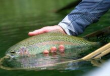 Fly fishing the Kootenai River in Montana | Hatch Magazine