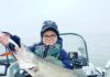 ODOW surveys show record walleye hatch again: NE Ohio fishing report