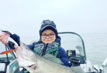 ODOW surveys show record walleye hatch again: NE Ohio fishing report