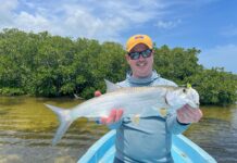 Fly Fishing for “Baby” Tarpon in Holbox Mexico