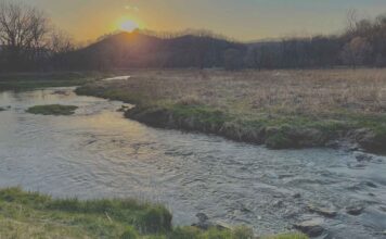 Going driftless | Hatch Magazine
