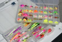 Walleye finally on the move to spawning areas: NE Ohio fishing report