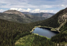 Fundraising for Rattlesnake Wilderness dam removal reaches half-way mark