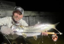 Salomone: Get a handle on things.