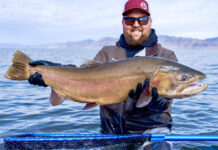 Podcast: The Giant Trout of Pyramid Lake, with Mike Anderson