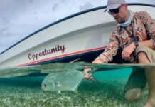 5 Tips for Shallow-Water Permit