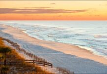 Ocean Beach : 1 Of The Best Attractive Beach In Ocean Beach, Alabama