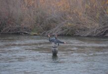 Bidwell and Loafer Creek ramps closed until Lake Oroville rises