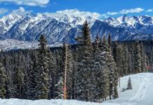 Goal Setting and Accountability – iRunFar