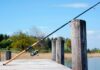 Fishing Rods Market Key Players, End User Demand and Analysis