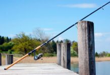 Fishing Rods Market Key Players, End User Demand and Analysis
