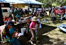 Sofala Carp Blitz boost for native fish