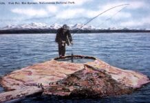 HOOKED ON THE PARK!!! – Montana Hunting and Fishing Information