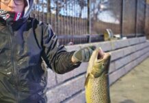 Midwest Fishing Report: Perch fishing on southern Lake Michigan and ice fishing (at least in the Northwoods)