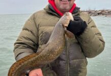 MIdwest Fishing Report: Perch on the Chicago lakefront and waiting on ice fishing