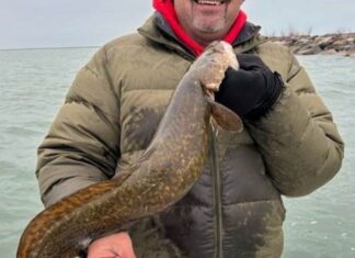 MIdwest Fishing Report: Perch on the Chicago lakefront and waiting on ice fishing