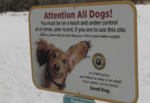 Resident shares concerns over unleashed dogs at Cherry River Fishing Access