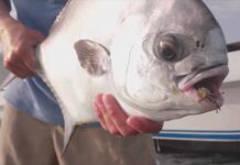 Video: Two Grand Slams in Two Days!