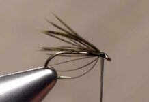 Video: How to Wrap Soft Hackle