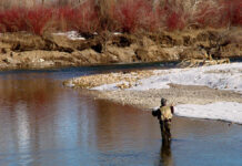 Break out the neoprene: Winter stream fishing is a perfect opportunity to stay outdoors and catch fish