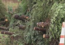Christmas tree recycling, disposal locations in Portland, OR