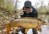 Will U.S. Waters Ever Be Managed as Trophy Carp Fisheries?