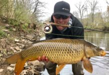 Will U.S. Waters Ever Be Managed as Trophy Carp Fisheries?
