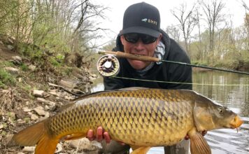 Will U.S. Waters Ever Be Managed as Trophy Carp Fisheries?