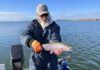 Denis Peirce: The Afterbay for winter trout