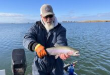 Denis Peirce: The Afterbay for winter trout