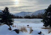Yakima River Canyon rated one of the best winter fishing spots in the U.S.